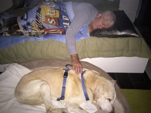 Early Saturday morning after taking him outside I tried to keep him calm and quiet so as to not trigger a respiratory incident.  