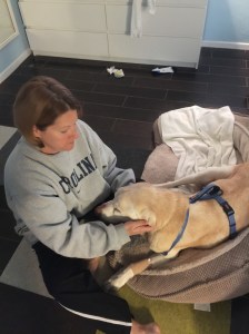 Dogma and Miles spending some quality time together.